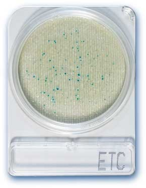 Hyserve Compact Dry ETC, Enterococcus teszt