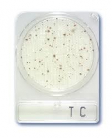 compact_dry_tc_osszcsiraszam_meghatarozo_teszt.jpg compact_dry_tc_osszcsiraszam_meghatarozo_teszt.jpg