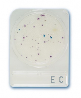 compact_dry_ec_ecoli_es_coliform_teszt.jpg compact_dry_ec_ecoli_es_coliform_teszt.jpg