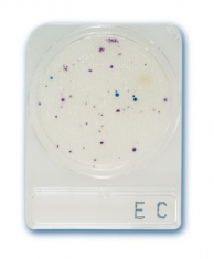 compact_dry_ec_ecoli_es_coliform_teszt.jpg compact_dry_ec_ecoli_es_coliform_teszt.jpg