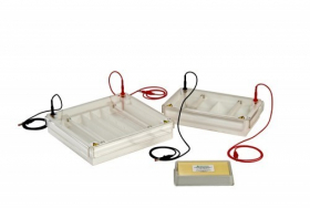 celluloz_acetat_rendszer_klinikai_elektroforezis_technikakhoz.jpg celluloz_acetat_rendszer_klinikai_elektroforezis_technikakhoz.jpg