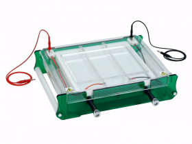 izoelektromos_fokuszalas_rendszer_ipg_szalagokhoz_es_ief_gelekhe.jpg izoelektromos_fokuszalas_rendszer_ipg_szalagokhoz_es_ief_gelekhe.jpg